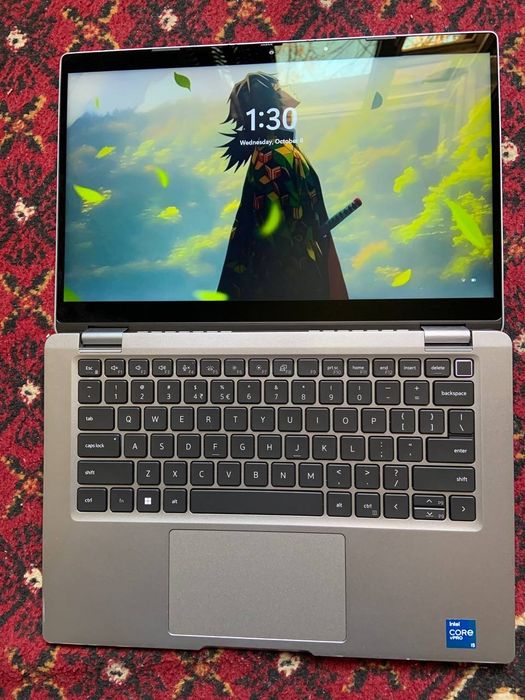 Dell Windovs 11 250
