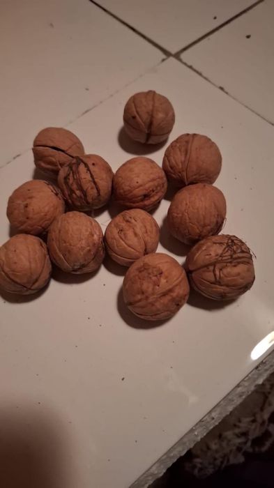 грецкий орех кг 1200тг