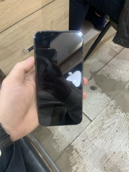 Iphone 13 Pro Max 256gb