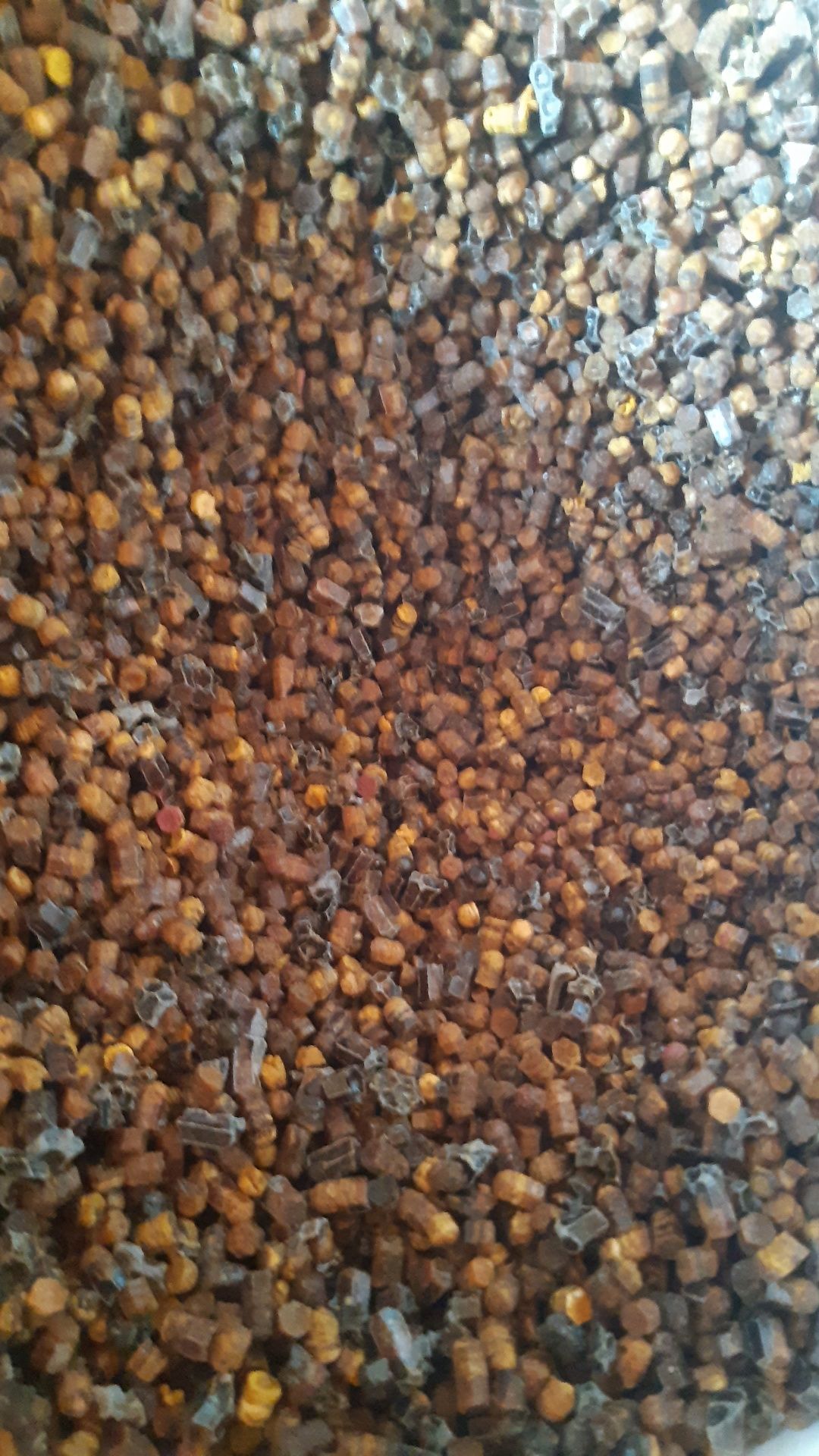 Продам оптом пергу.сухая