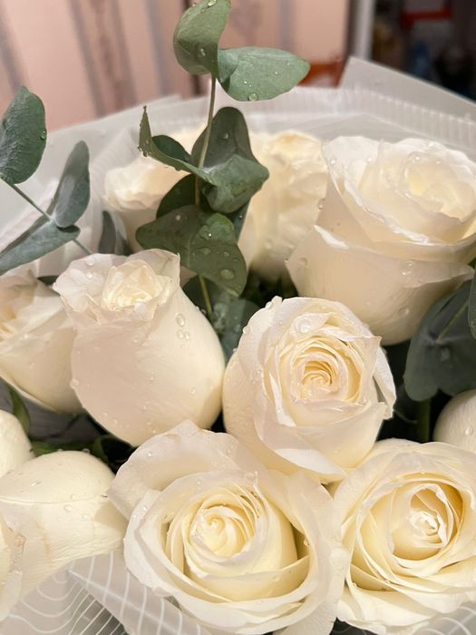 Голландская роза