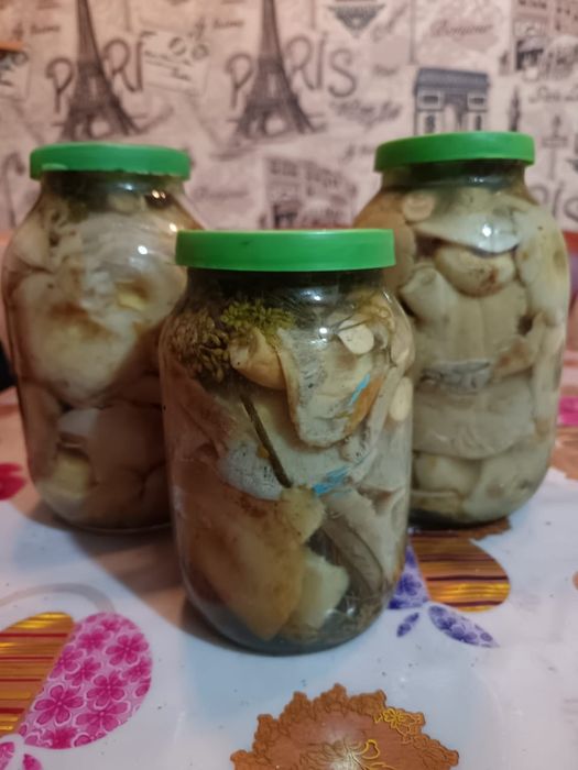 Продам грибы груздья