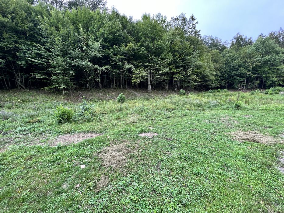 Vand teren Valiug Crivaia