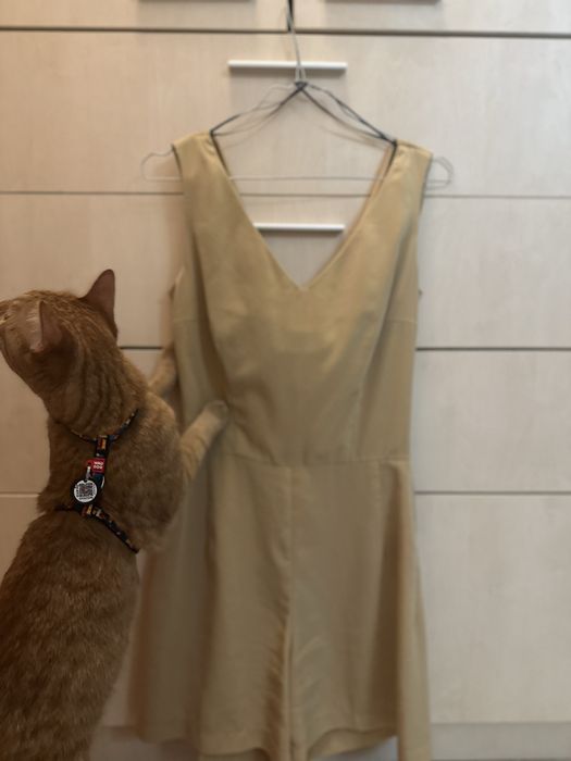 Красив гащеризон