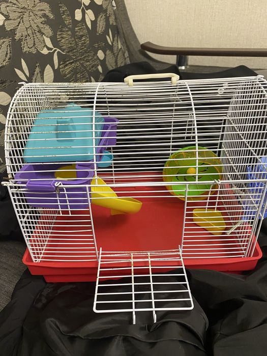 cusca hamsteri pitici