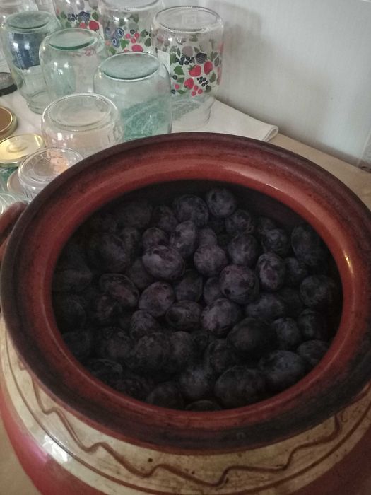 Dulceata prune REAL BISTRITENE, nu din pomi hibrizi de acum