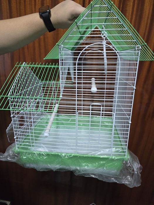 Colivie păsări papagali și canari