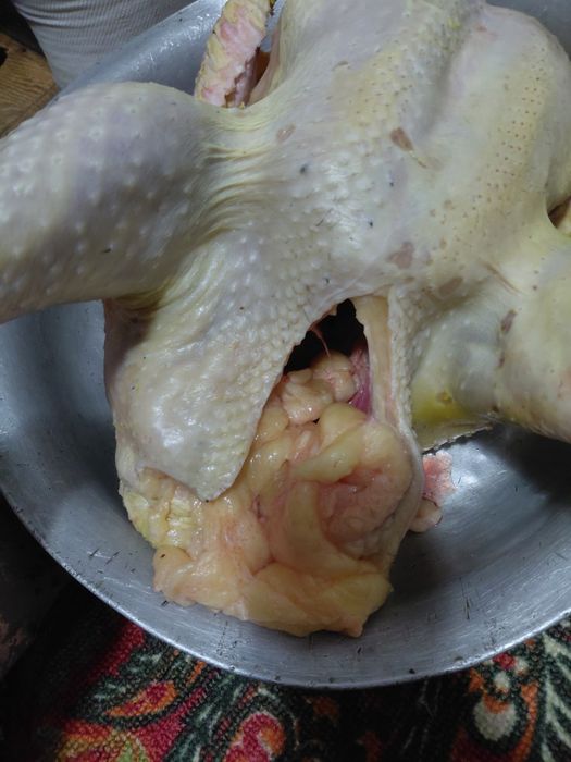 Продам мясо индюка