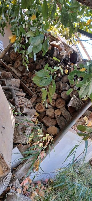 Утин сотилади 2 3 мошина