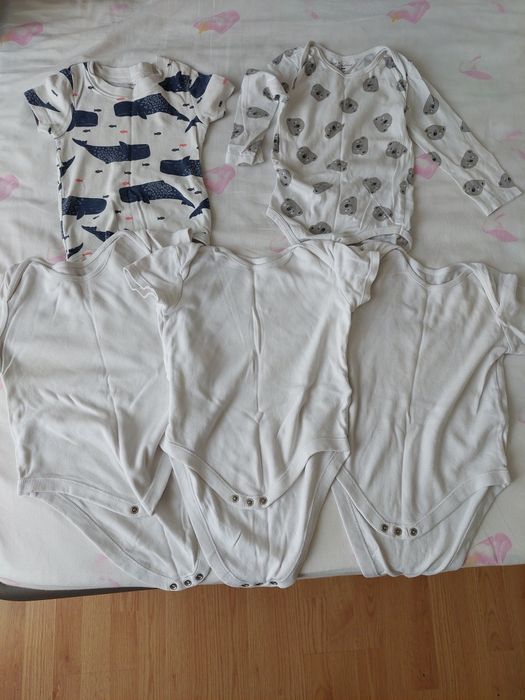 Vând tot la 200 lei. Doar în Baia Mare.