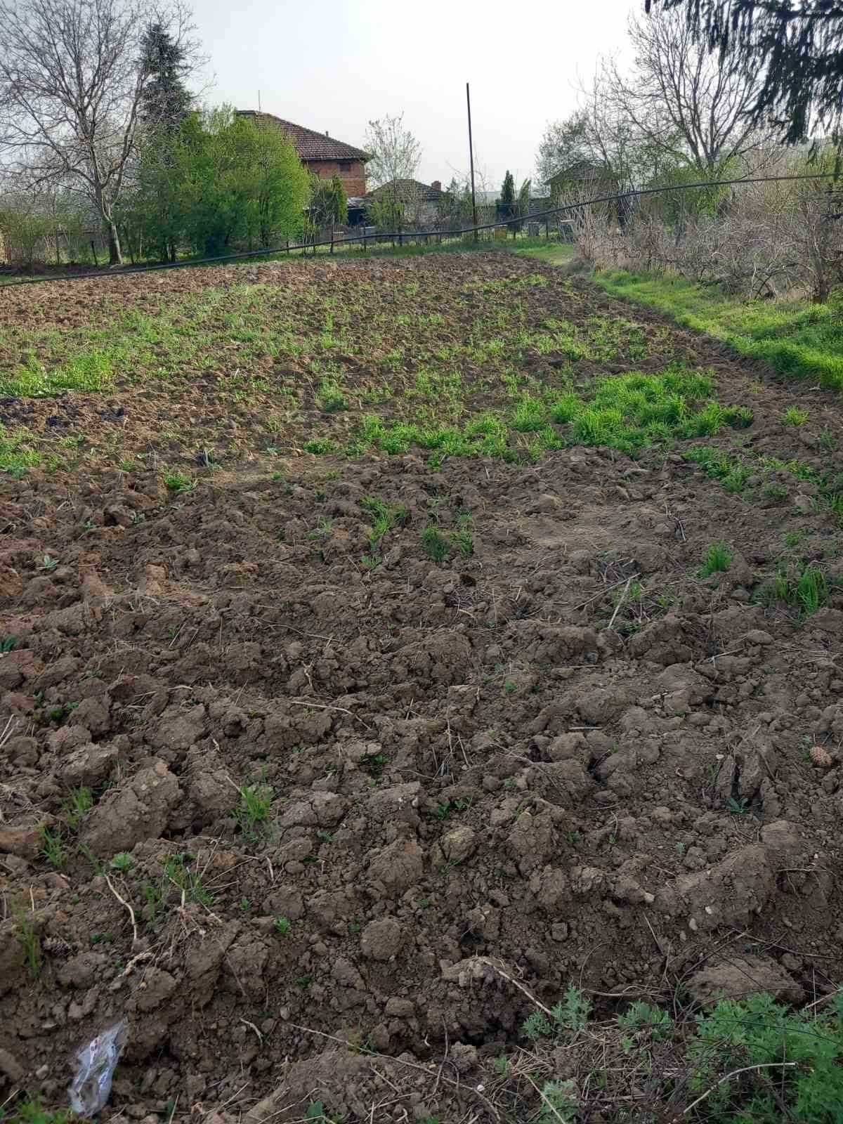 Къща с двор в село Михалци