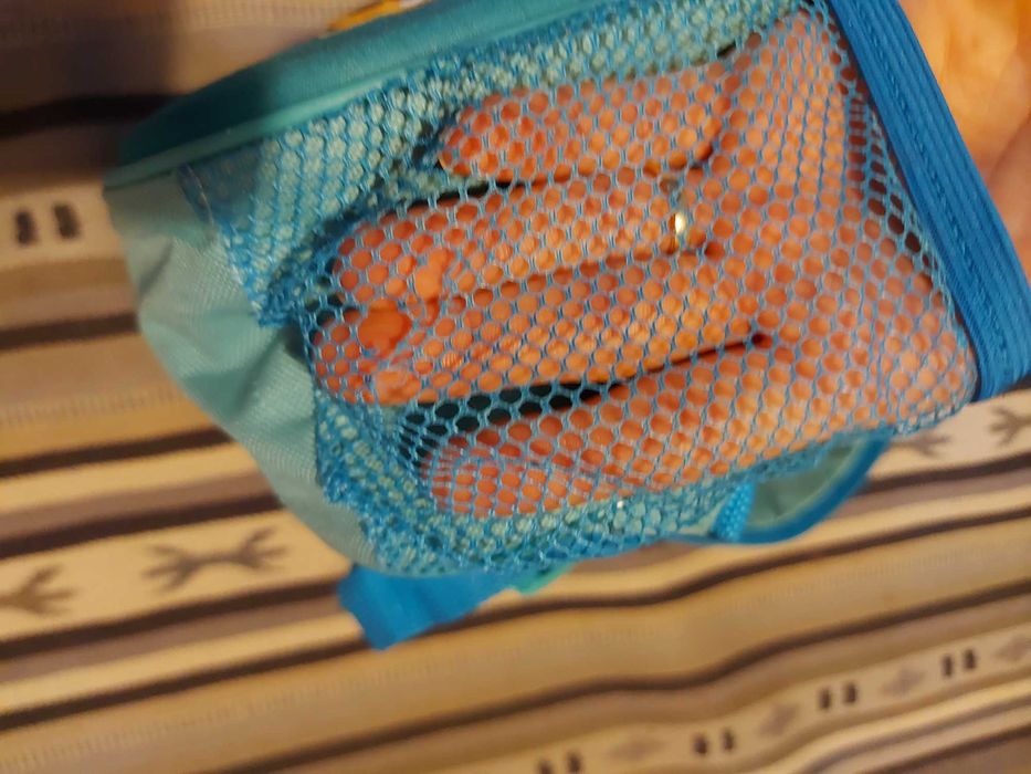 Ghiozdan Patrula Catelusilor