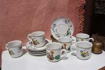 Set portelan colectie 6 persoane VILLEROY & BOCH, BOTANICA