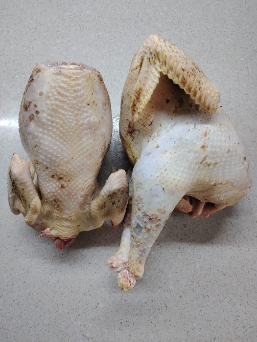 Продам тушки молодых петушков