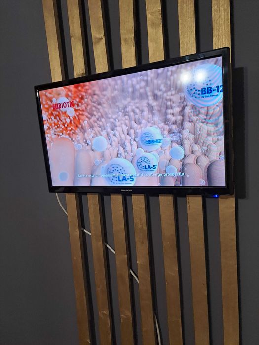 Televizor Schneider ca nou, SUPORT perete inclus