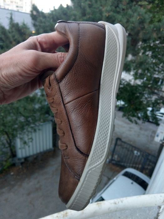 Ecco 41нм. 26,0см.