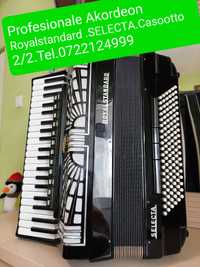 Acordeon profesional Royalstandard Selecta cassotto 2/2