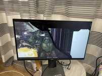 Dell Dell P2419H (Счупена матрица) за части