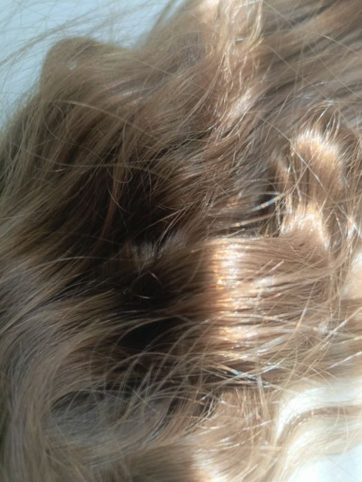 Волосы русые натуральные детские структура волос восточная