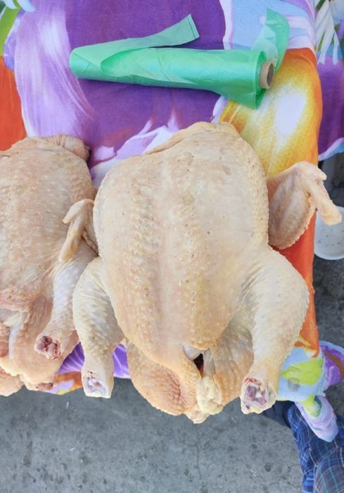 Продам мясо домашнего бройлера