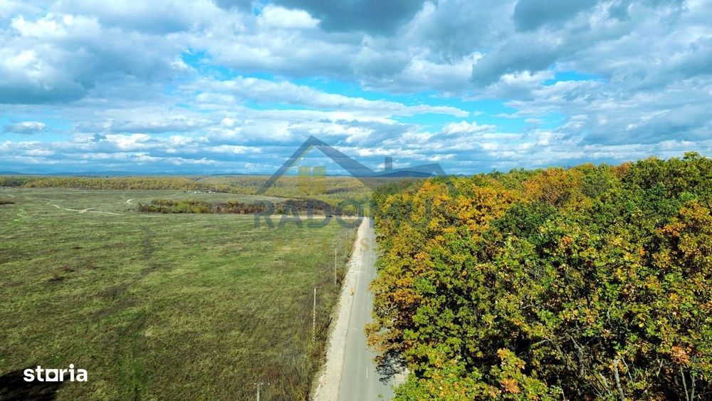 Teren Intravilan În Pădure La Vărbila - Prahova – Comision 0%