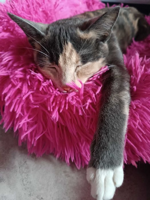 -34° было в ночь когда она должна была родится на трубе теплотрассы.