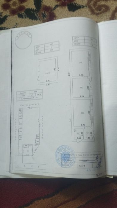 Zangi ota ziyoratgohda 800 metr otganda . uy xolati ortacha