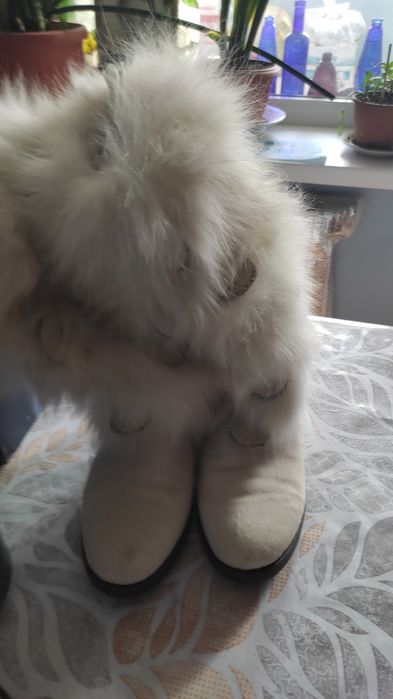 Сапоги женские или для девушек