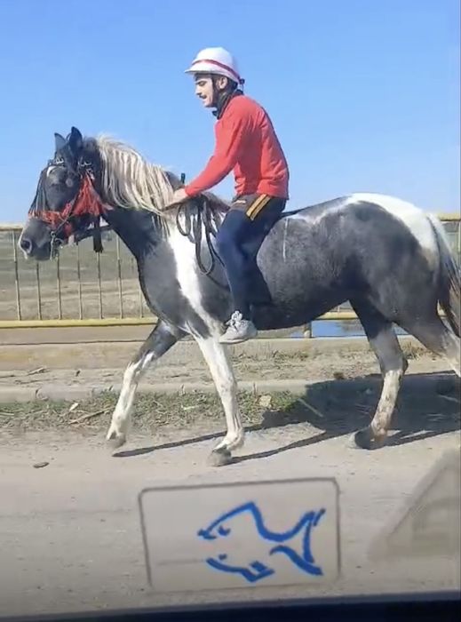 Iapa de vanzare 2 ani