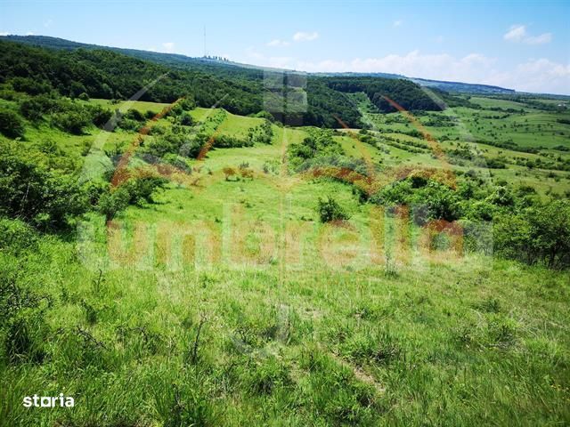 Teren de vanzare in  Feleacu jud. Cluj 10.200 mp
