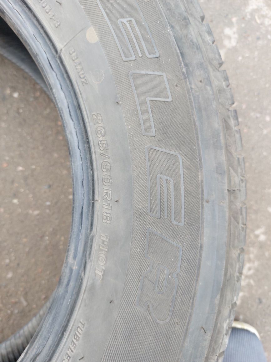 18 R 265.60.Razmer Tleblezer zavod balon