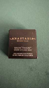 Anastasia Beverly Hills Brow Freeze