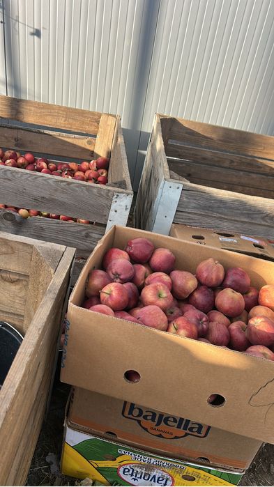 Mere din livada peoprie