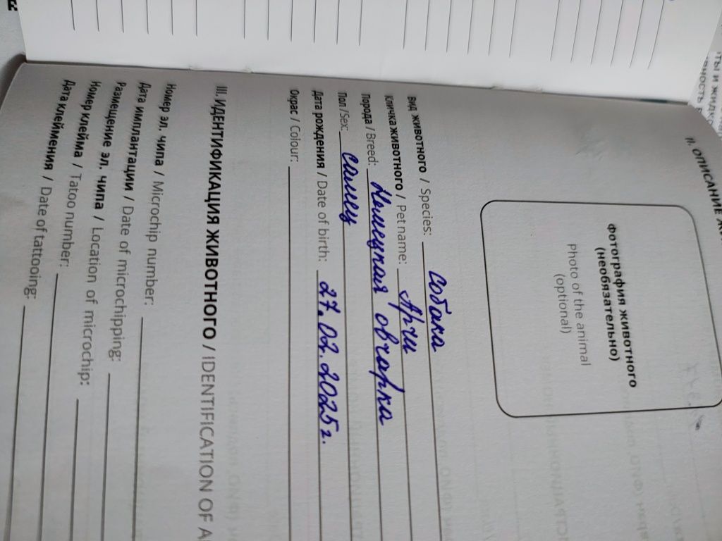 Продам щенка немецкой овчарки кобелек