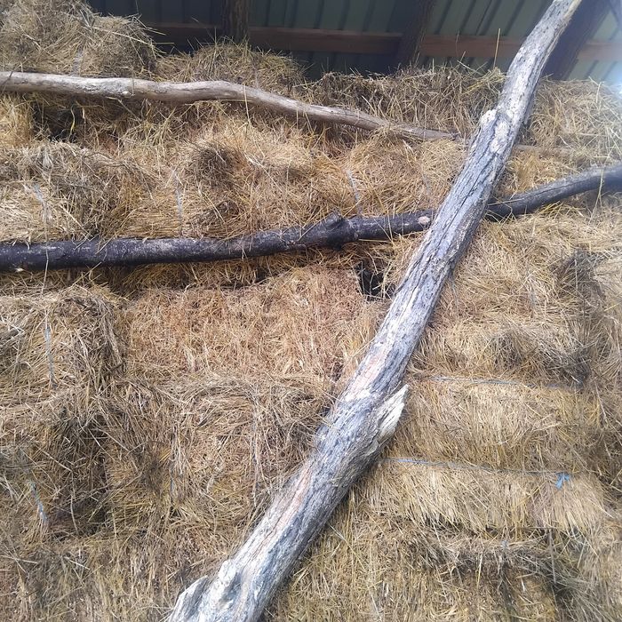 Baloți de fân cu lucernă