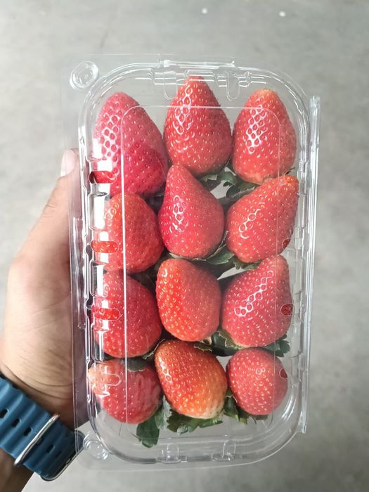 клубника из Египет