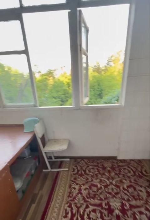 срочна продаётся қорақамиш Олимпия 2/3/4 яшашга тайёр ўзимники