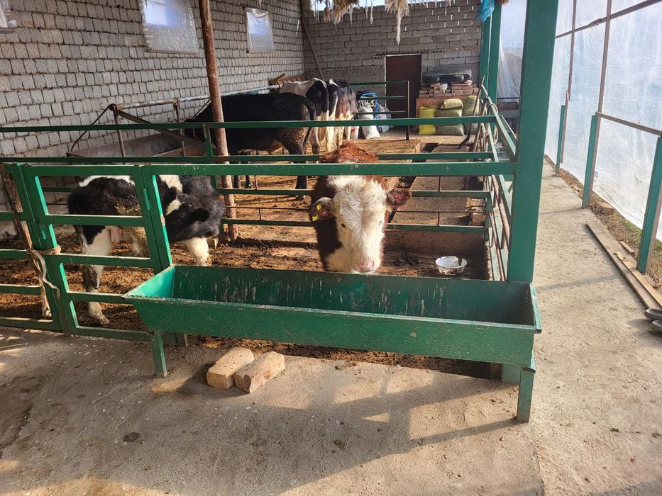 Uy sotiladi 10sotix yangi yulda