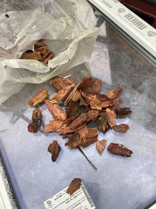 Кара сосны в мешках