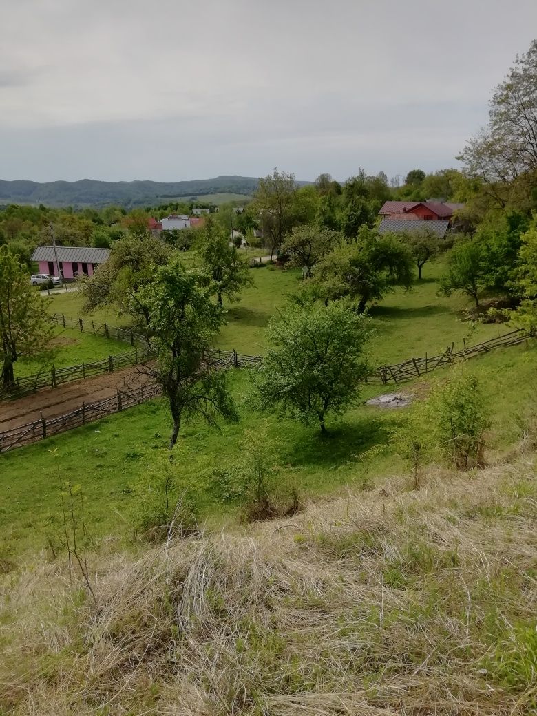 Vand teren intravilan, Cerbureni, jud. Arges