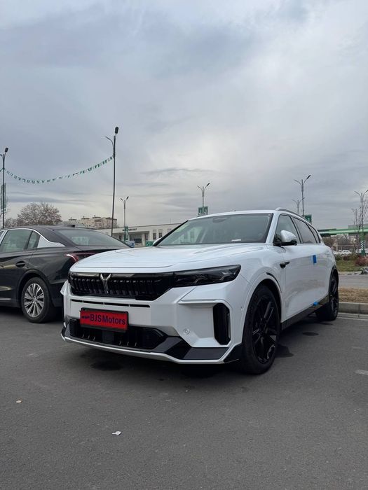 Voyah Freebeng full pazitsiya eng arzon narxlarda