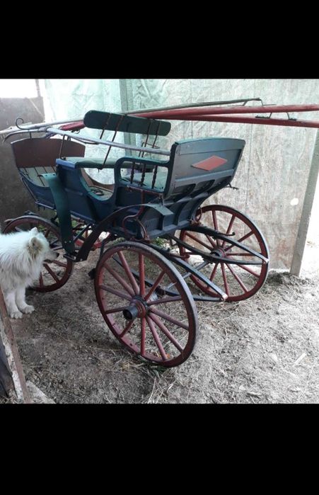 Manz de 2 ani si 7 luni si trasura de vanzare