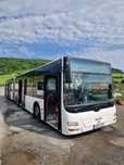 Autobuz MAN articulat