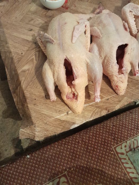 Мясо индейки, утки шипуны продаются