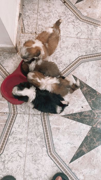 Jucării pt copii