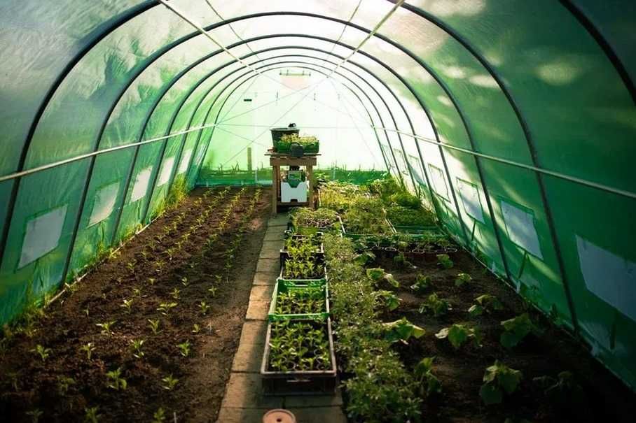 Solarii gradina diverse marimi, teava galvanizata, folie armata