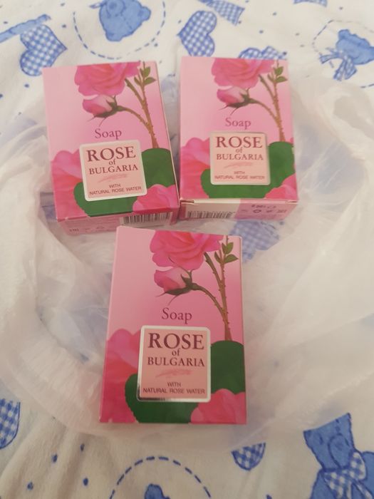 Aloe vera planta la ghiveci