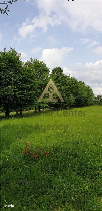 Teren De Vanzare 500O Mp Punct Chetris Cerdac Slanic Moldova