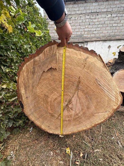 Продается Ствол Дерева - Дуб. Для изготовления мебели