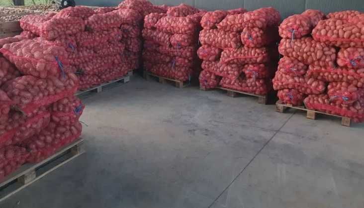 Cartofi Esmee, ambalat 06. dec. 2025